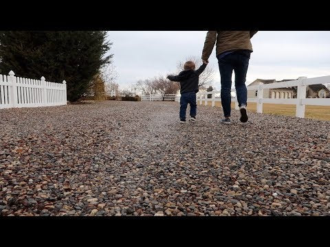 Hauling Wood + Root Cellar Tour!