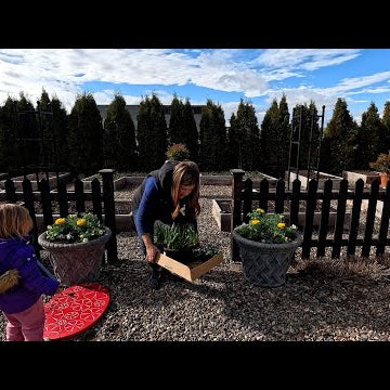 First Spring Containers & More Flower Bed Clean Out!
