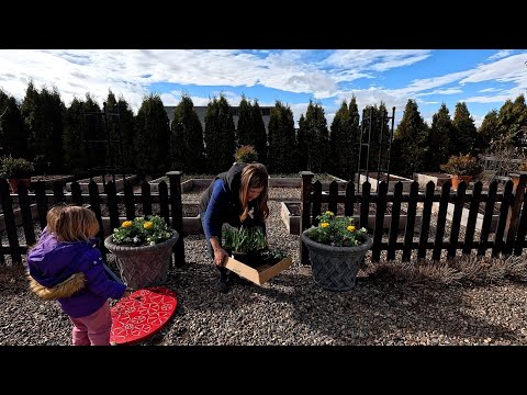 First Spring Containers & More Flower Bed Clean Out!