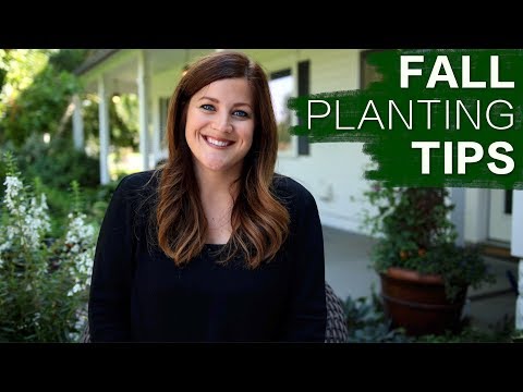 Tips for Planting in the Fall
