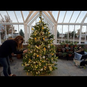 Decorating a Christmas Tree in the Hartley!