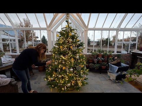 Decorating a Christmas Tree in the Hartley!