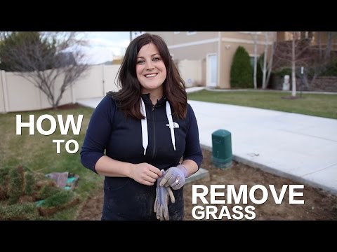 How to Remove Grass