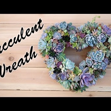 Succulent Wreath