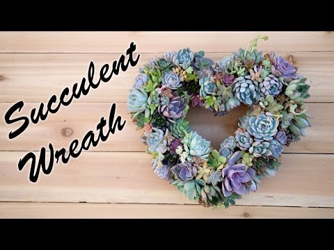 Succulent Wreath