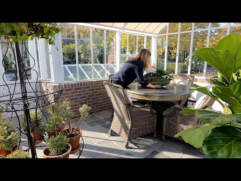 Planting a Peaceful Centerpiece for the Hartley, Transplanting a Rose & Houseplant Fertilizing!