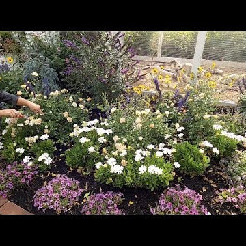 Garden Maintenance Around the Chicken Coop!