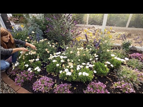 Garden Maintenance Around the Chicken Coop!