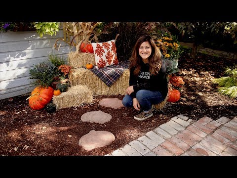 DIY Pumpkin Stepping Stones!