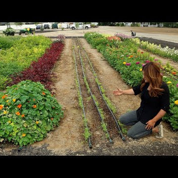 July Cut Flower Garden Tour!