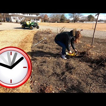 Timed Garden Cleanup in the Wind!
