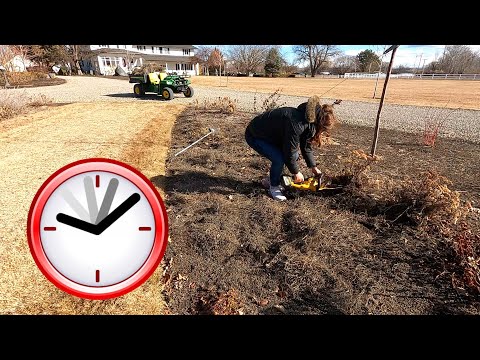 Timed Garden Cleanup in the Wind!