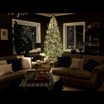 Decorating Our New Christmas Tree!