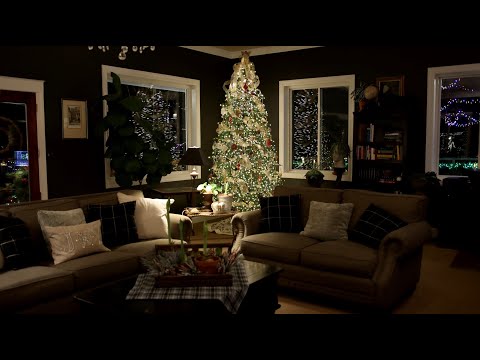 Decorating Our New Christmas Tree!