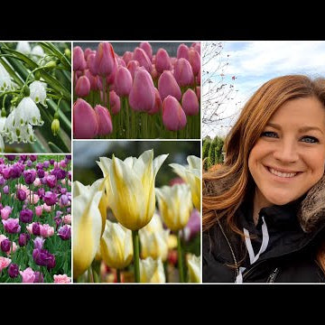 1,600 More Bulbs Planted!!!  Tulips & Summer Snowflakes!