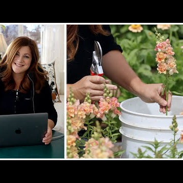 Cut Flower Garden Q&A!