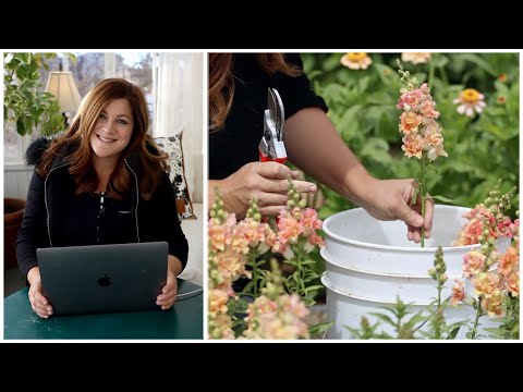 Cut Flower Garden Q&A!