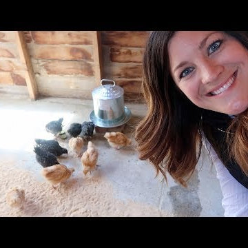 So Excited! My Chickens are Here!!!