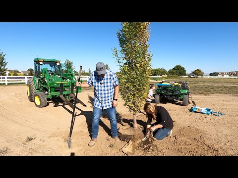 Planting The First Trees On The New Property + 2024 Lilacs!