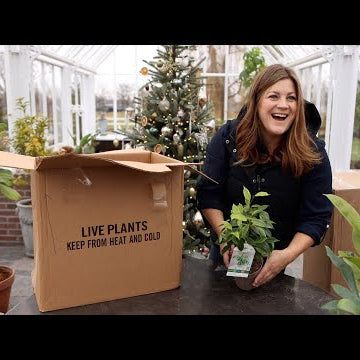 Unboxing Houseplants!