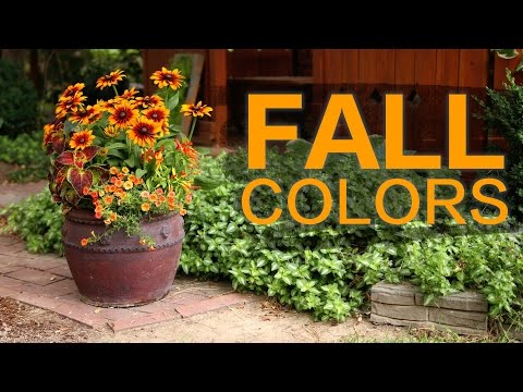 Late Summer/Fall Container