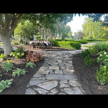 Planting a Shade Garden with SO Many Gorgeous Plants!