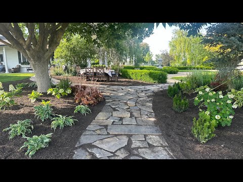 Planting a Shade Garden with SO Many Gorgeous Plants!