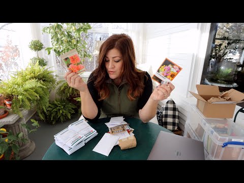 Seed Haul!