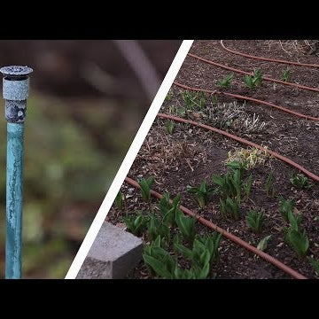 Converting Sprinklers to Drip in a Flower Bed!