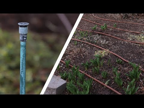 Converting Sprinklers to Drip in a Flower Bed!
