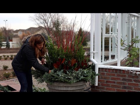 Decking Out the Pots Around the Hartley for Christmas!