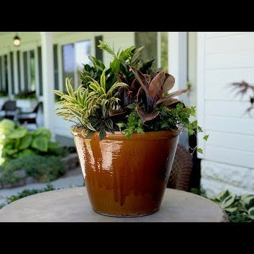 A New Houseplant Arrangement for My In-Laws