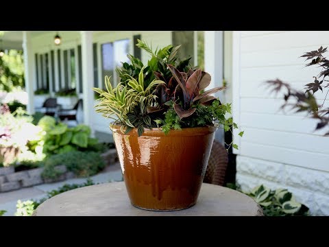 A New Houseplant Arrangement for My In-Laws