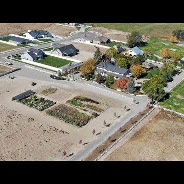 End of Season Cut Flower Garden Tour!