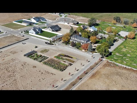 End of Season Cut Flower Garden Tour!