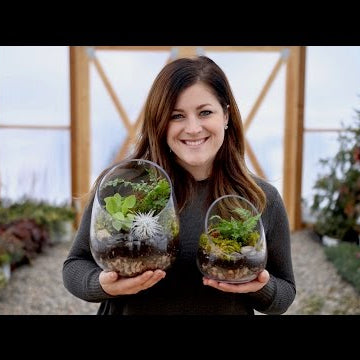 How to Make A Terrarium (Full Version)
