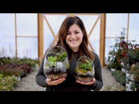How to Make A Terrarium (Full Version)