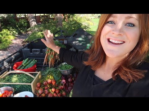 Harvesting Fall Crops!