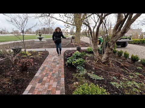 Planting Beautiful Perennials & Training Lonicera Topiaries!