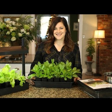Self Watering Seed Starter Kit
