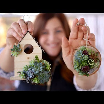 Making Birch Wood Succulent Ornaments!