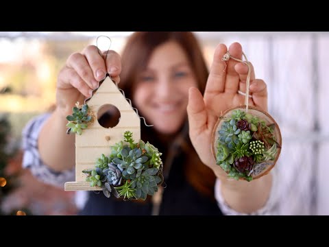 Making Birch Wood Succulent Ornaments!