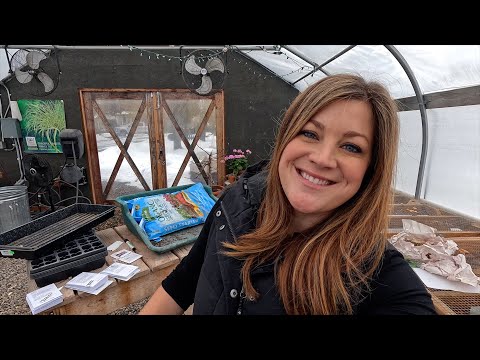 Planting Flower Seeds: Echinacea purpurea & SO Many Geraniums (370!)!