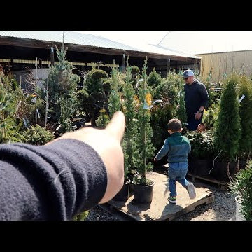 New Loads of Plants at the Garden Center!