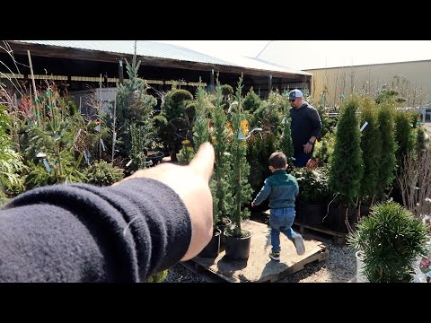 New Loads of Plants at the Garden Center!