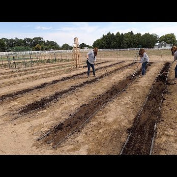 Planting Crops For Fall Harvest!