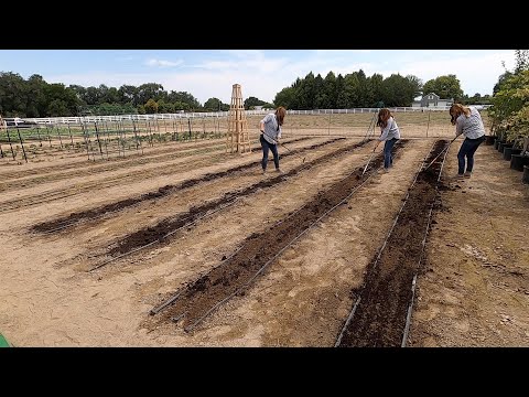 Planting Crops For Fall Harvest!