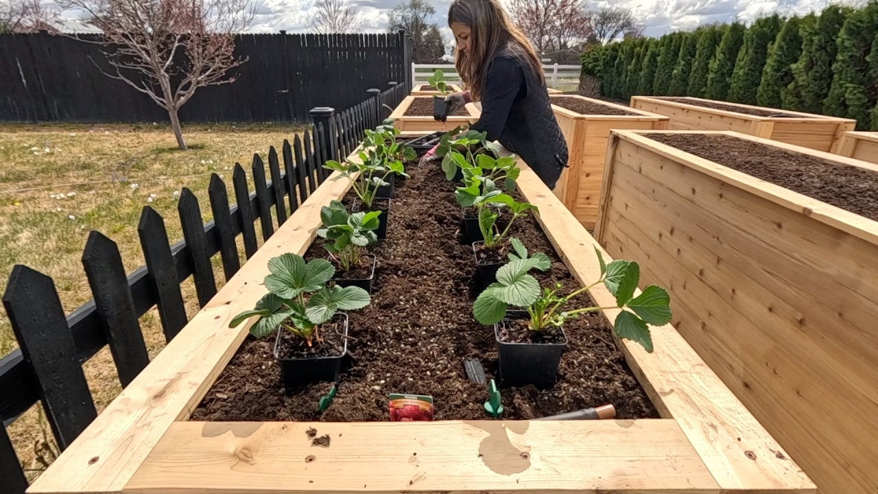 I’ve Wanted to Do This Project for SO Long!!! The MOST Epic Strawberry Beds!