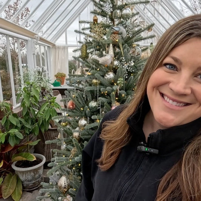 Laura smiling behind her christmas tree