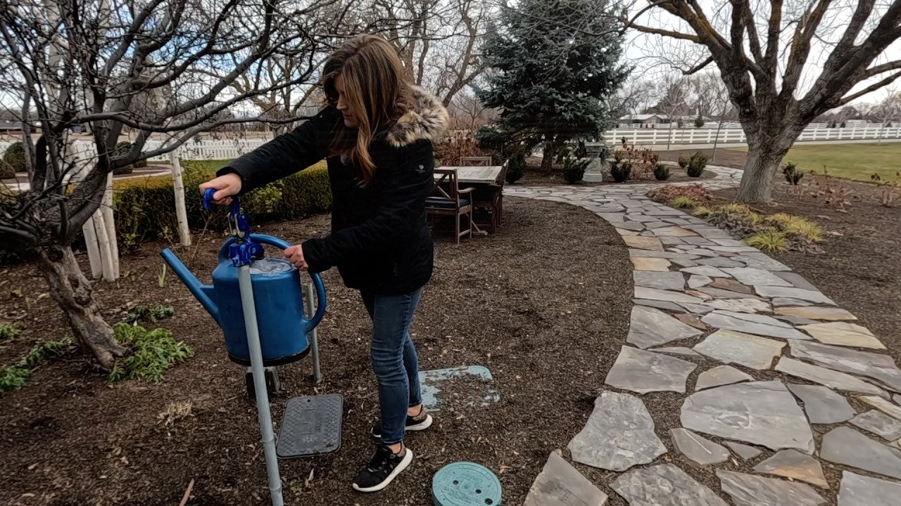 How & Why I Water Outside in Winter (+ Planting 3 Annuals from Seed)// Garden Answer